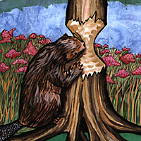 Beaver