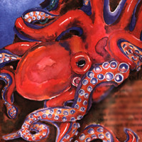 Red Octopus