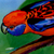 Crimson Rosella