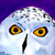 Snowy Owl