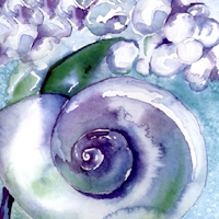 Violet Snail