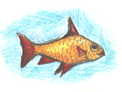 my fish
